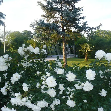 L'albero Della Gioia Bed and breakfast Villanova sull'Arda