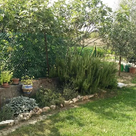 Bed and breakfast L'albero Della Gioia