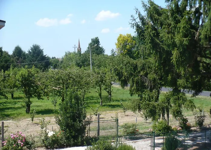 Bed & Breakfast L'albero Della Gioia Villanova sull'Arda