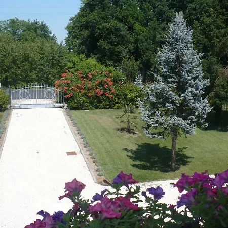 L'albero Della Gioia