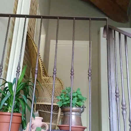 L'albero Della Gioia * Villanova sull'Arda