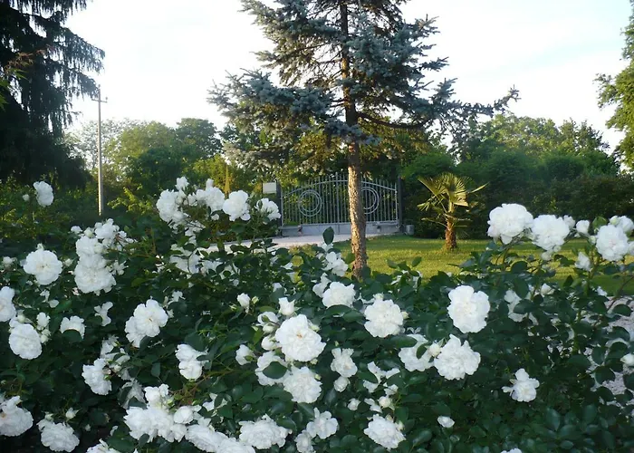 L'albero Della Gioia Bed and Breakfast Villanova sull'Arda