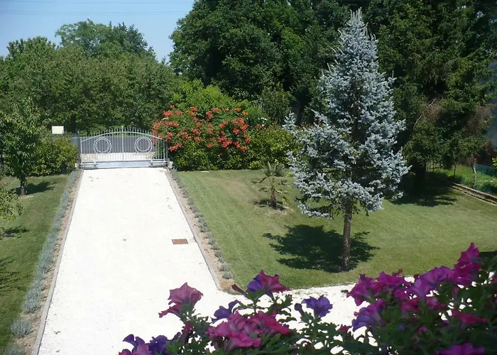 L'albero Della Gioia