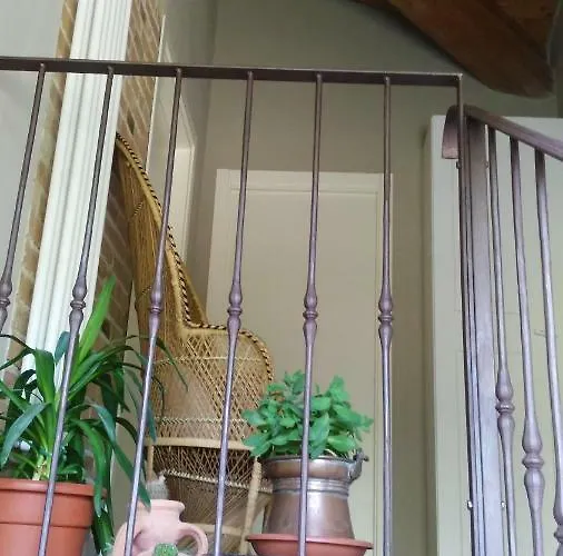 L'albero Della Gioia * Villanova sull'Arda