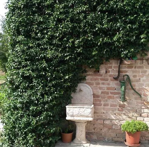 Bed and Breakfast L'albero Della Gioia