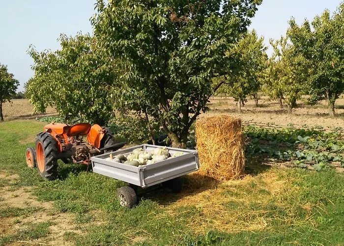 Bed and Breakfast L'albero Della Gioia
