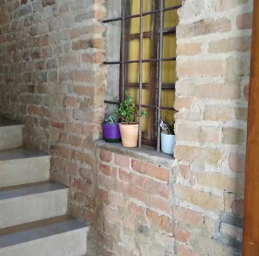 L'albero Della Gioia * Villanova sull'Arda