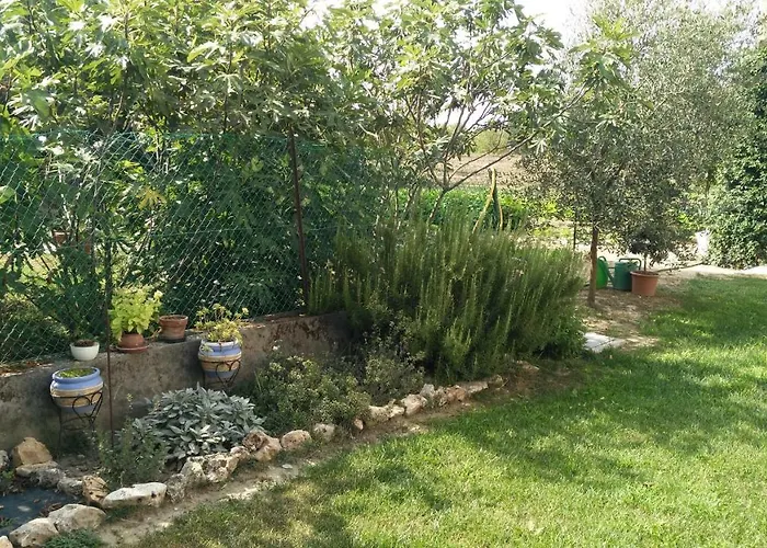 Bed and Breakfast L'albero Della Gioia